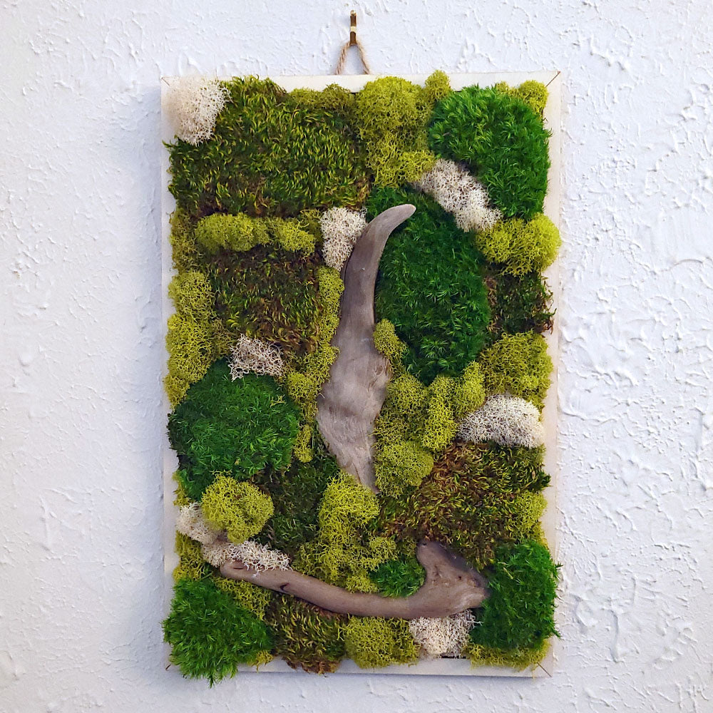 Moss Art — 10.5 x 16