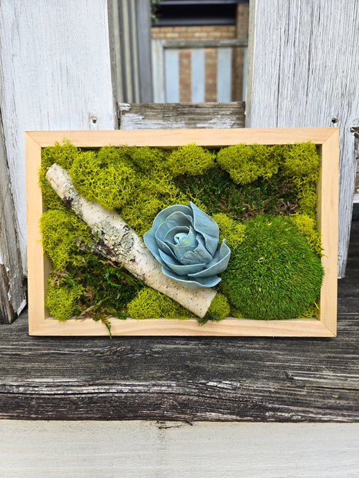 Moss Art - 9 x 6