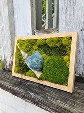 Load image into Gallery viewer, Moss Art - 9 x 6