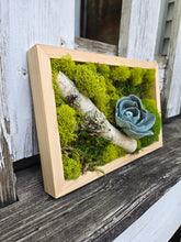 Load image into Gallery viewer, Moss Art - 9 x 6