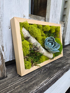 Moss Art - 9 x 6
