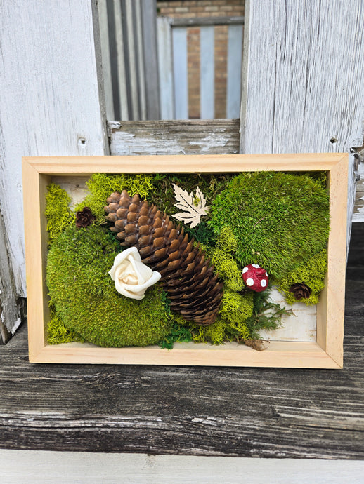 Moss Art - 9 x 6