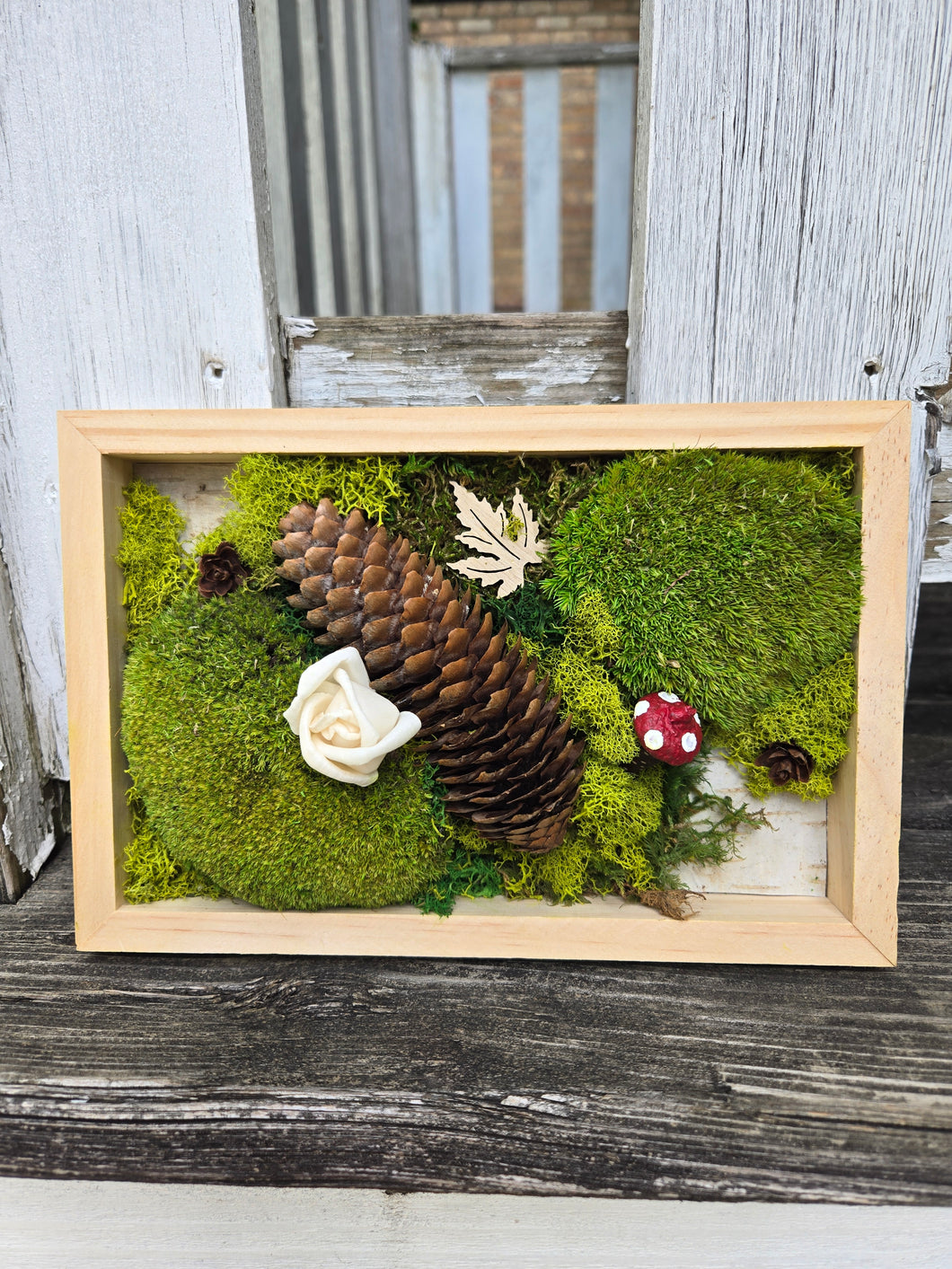 Moss Art - 9 x 6