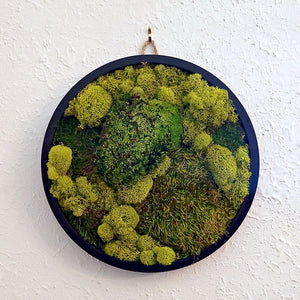 Moss Art — 12" diameter
