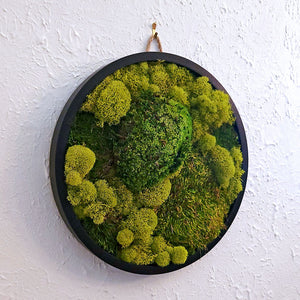 Moss Art — 12" diameter