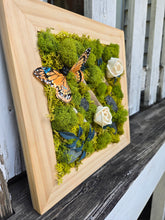 Load image into Gallery viewer, Moss Art - 10 x 10