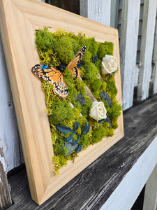 Moss Art - 10 x 10