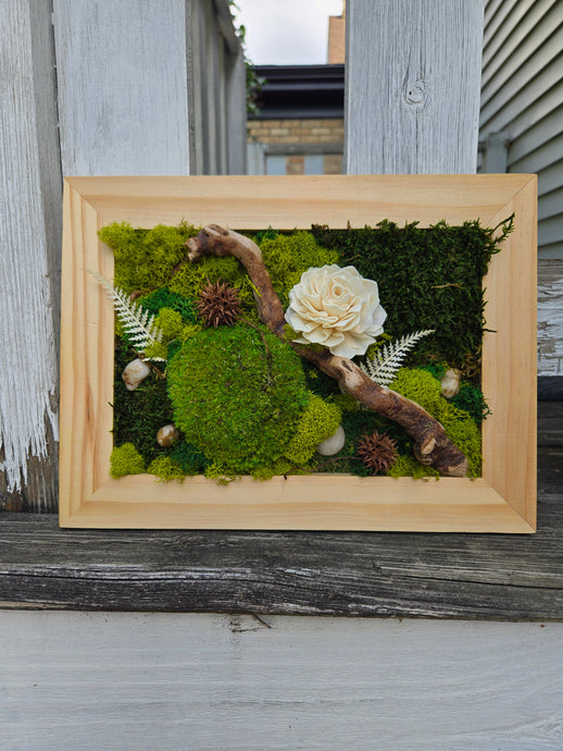 Moss Art - 12 x 9