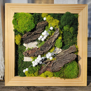 Moss Art — 12x 12"