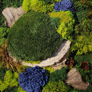 Moss Art — 10 x 10"