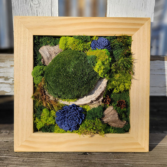 Moss Art — 10 x 10