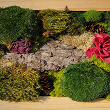 Load image into Gallery viewer, Moss Art — 8x 10&quot;