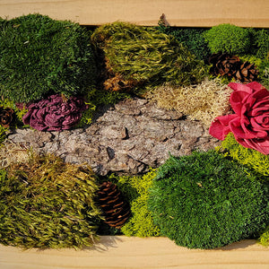 Moss Art — 8x 10"