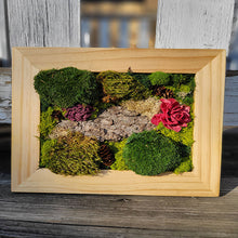 Load image into Gallery viewer, Moss Art — 8x 10&quot;
