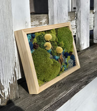 Load image into Gallery viewer, 9 x 6 Moss Art